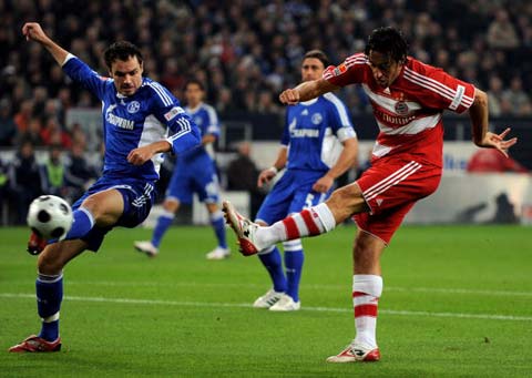 游领域的知 游领域的知